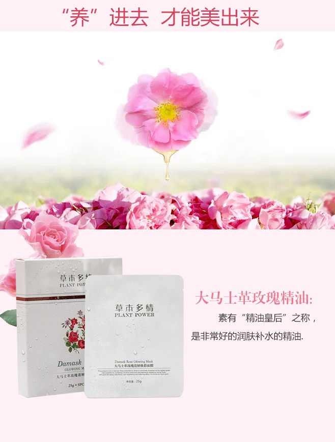 大马士革面膜简洁版_03.jpg