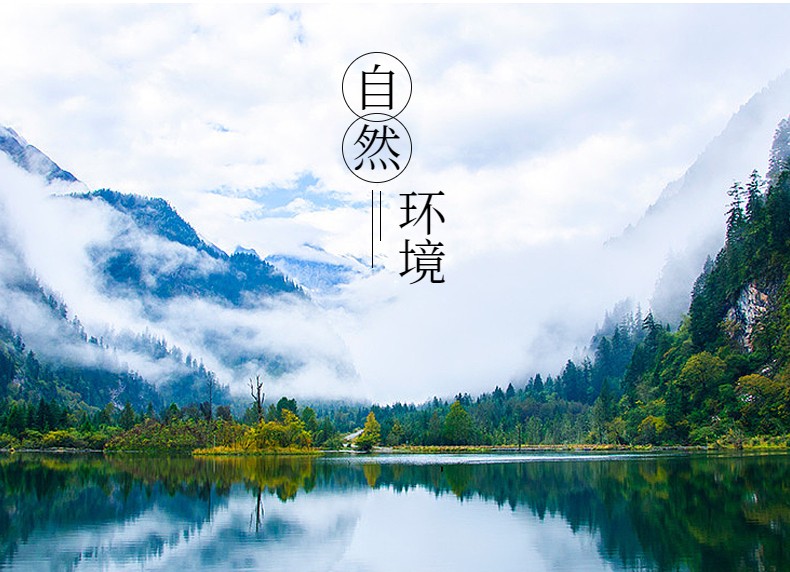 林下参详情页 (3).jpeg