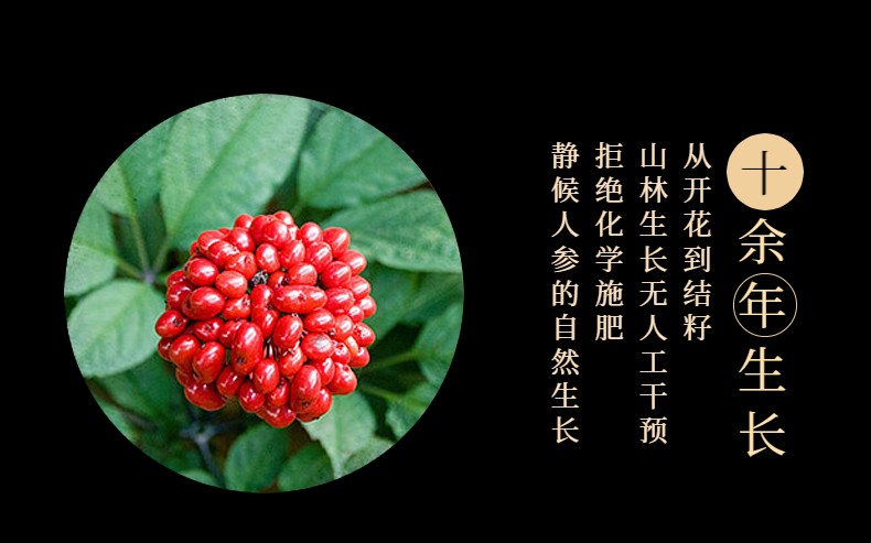 林下参详情页 (4).jpeg