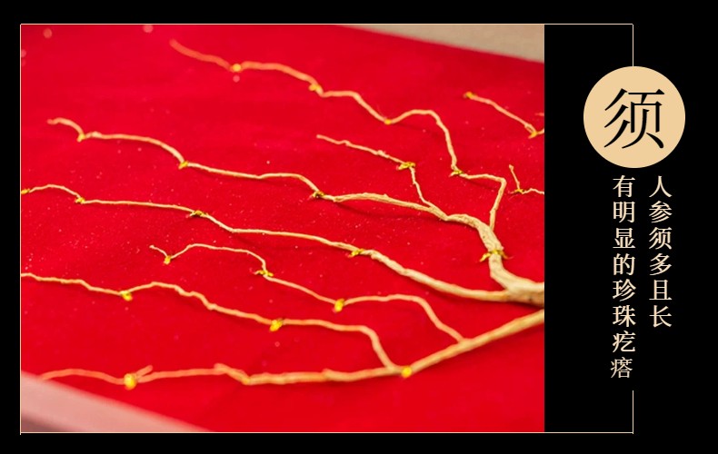 林下参详情页 (12).jpeg