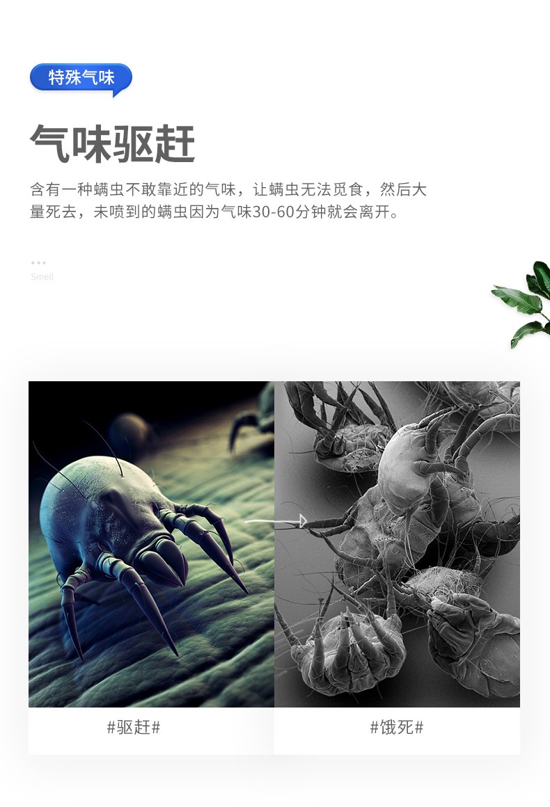 除螨_09.jpg